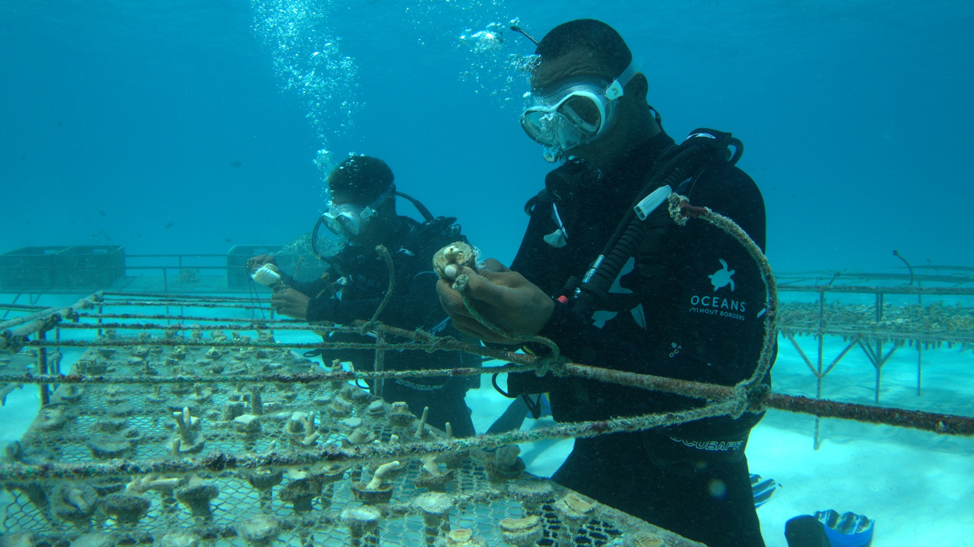 Pollution in the Ocean